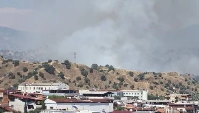Nazilli&rsquo;de zirai alan yangını
