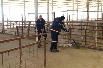 Nazilli Hayvan Pazarı 7 ay sonra yeniden a&ccedil;ılıyor
