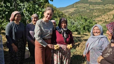 Nazilli Kaymakamı Kan, incir hasadına katıldı
