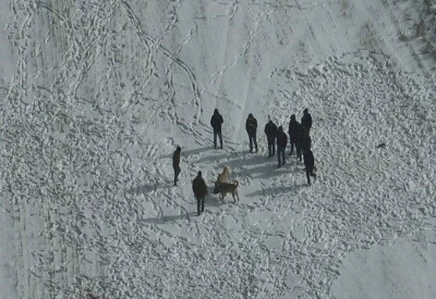 Nevşehir&rsquo;de k&ouml;pek d&ouml;v&uuml;ş&uuml;ne jandarma baskını
