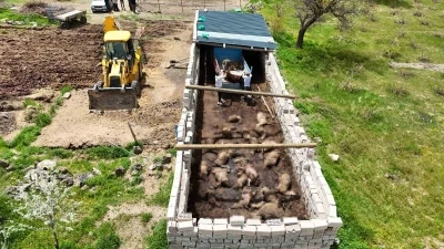 Nevşehir&rsquo;de kurtların saldırdığı ağılda 40 koyun telef oldu
