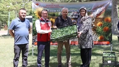 Nevşehir&rsquo;de &uuml;reticilere y&uuml;zde 75 hibeli karnabahar ve brokoli fidesi dağıtıldı
