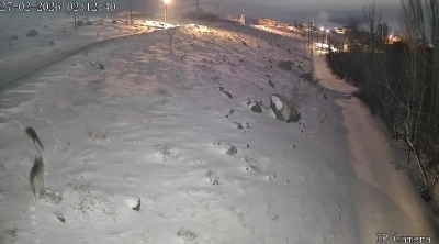 Niğde&rsquo;de a&ccedil; kalan kurtlar k&ouml;ye indi
