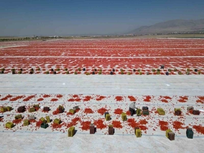 Niğde’de güneşte kuruyan domatesler dünya sofralarında
