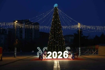 Nil&uuml;fer yeni yıla hazır
