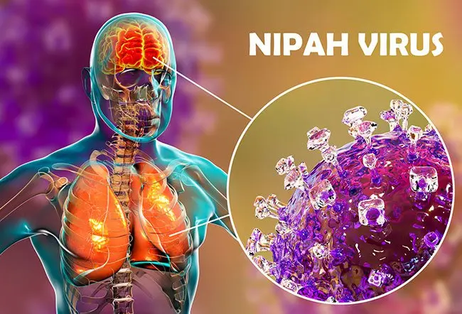 Nipah Vir&uuml;s&uuml; Alarmı. Salgın T&uuml;rkiye&rsquo;yi de Yakından İlgilendiriyor