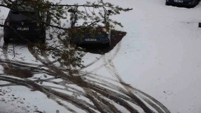 Nisanda kar s&uuml;rprizi
