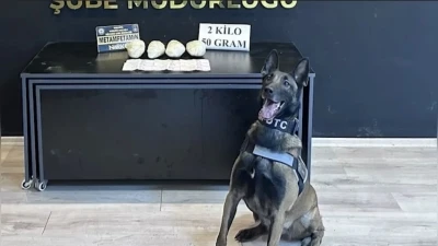 Ocak ayının en başarılı narkotik k&ouml;peği "Jardi" oldu
