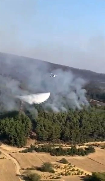 OGM: &quot;Adana İmamoğlu’nda orman dışı alanda başlayan yangını tamamen kontrol altına aldık&quot;
