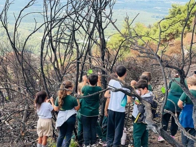 Öğrenciler küllerinden doğacak ormanlara nefes oldu

