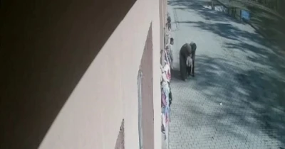 Öğrencisinin boğazına kaçan şekeri heimlich manevrasıyla çıkardı
