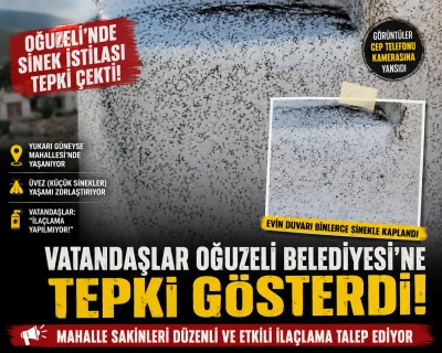 Oğuzeli&rsquo;nde Sinek İstilası Tepki &Ccedil;ekti: Vatandaşlar İla&ccedil;lama İstiyor