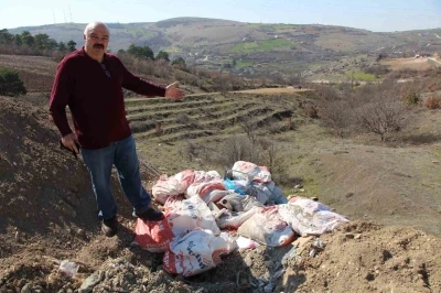 Olimpiyat şampiyonu Mahmut Demir &ccedil;evre dedektifliğine soyundu: "Amasya&rsquo;nın zirvesinde &ccedil;evre kirliliği var"

