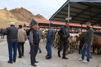 Oltu canlı hayvan pazarı şap hastalığı sonrası eski canlılığına kavuştu
