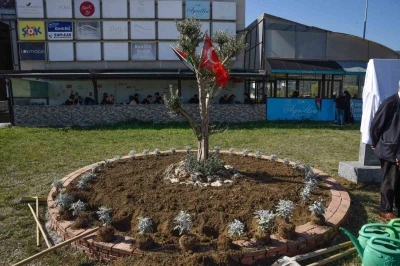 OMÜ’de Filistin için &quot;zeytin ağacı anıtı&quot; dikildi
