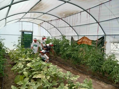 Önce öğrenip üretiyorlar, sonra yiyorlar
