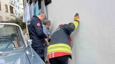Ordu&rsquo;da bodrum kattaki kedi sesi ekipleri harekete ge&ccedil;irdi
