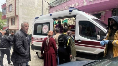 Ordu&rsquo;da dereye d&uuml;şen &ccedil;ocuk vatandaşlar tarafından kurtarıldı
