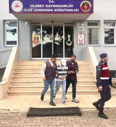 Ordu’da evden fındık çalan şüpheli tutuklandı
