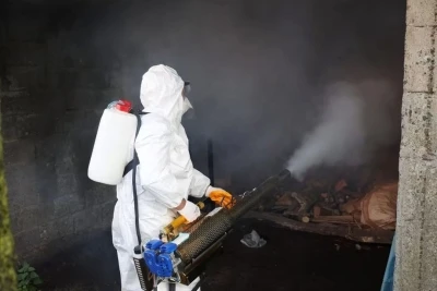 Ordu&rsquo;da kahverengi kokarcaya karşı 300 binden fazla kışlak ila&ccedil;lanıyor
