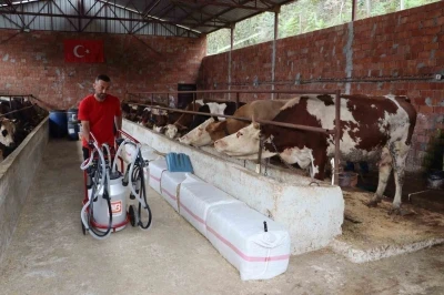 Ordu’da sütün değeri artıyor
