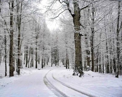 Ordu&rsquo;nun 15 il&ccedil;esinde eğitime kar engeli
