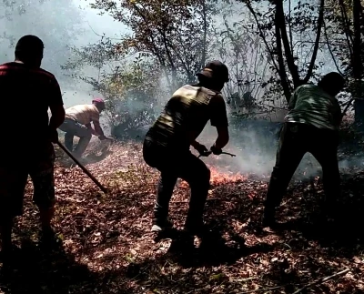 Ordu’nun iki ilçesinde çıkan yangın ekipler tarafından söndürüldü
