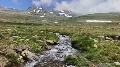 Ordu&rsquo;nun yaylalarında yaz g&uuml;zelliği
