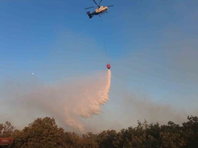 Orman yangınına havadan müdahale başladı
