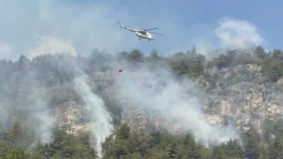Orman yangınında alevler yeniden etkili olmaya başladı

