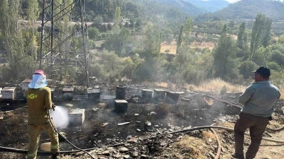 Ormancı Türküsü’nün yakıldığı Gevenes’te bu defa arı kovanları yandı

