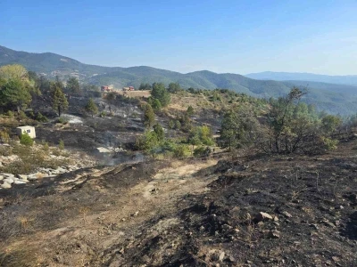 Ormanda piknik keyfi, faciaya sebep oluyordu...
