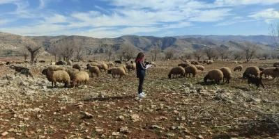 Ormani&ccedil;i&rsquo;nde mera seferberliği: Ekipler sahada, arazi kullanımı mercek altında
