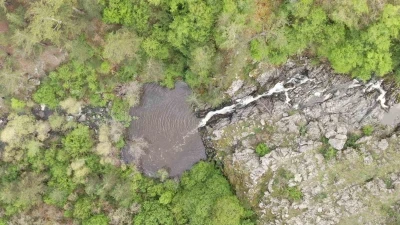 Ormanın içerisindeki şelale görenleri mest ediyor
