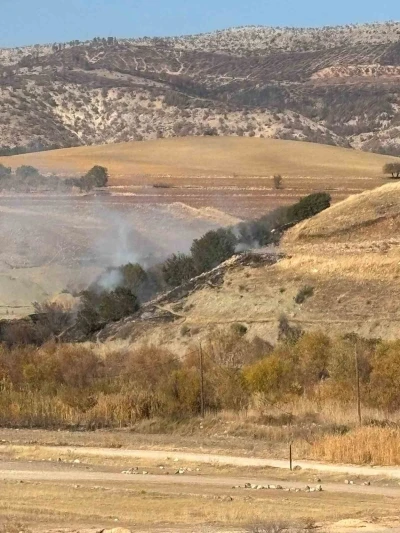 Ormanlık alanda korkutan yangın
