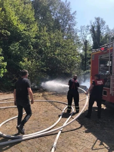 Ormanlık alanda yangın
