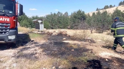Ormanlık alandaki yangın s&ouml;nd&uuml;r&uuml;ld&uuml;
