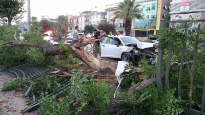 Ortalığın savaş alanına döndüğü kazada kimsenin burnu bile kanamadı
