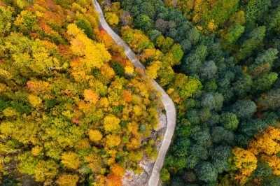 Örümcek Ormanları’nda renklerin muhteşem dansı
