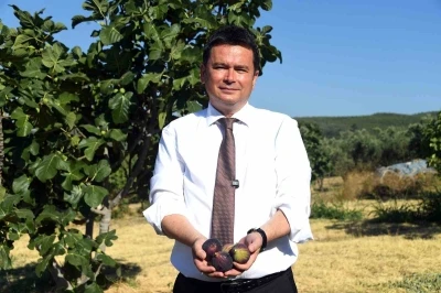 Osmangazi’den dünyaya açılan lezzet &quot;Bursa siyah inciri&quot;
