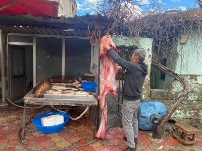 Osmaniye&rsquo;de 2 metrelik dev yayın balığı vatandaşın ilgi odağı oldu
