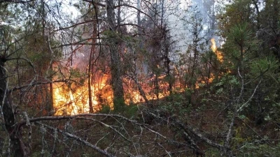 Osmaniye’de çıkan orman yangını söndürüldü
