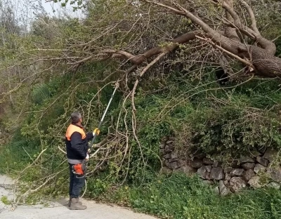 Osmaniye&rsquo;de fırtına etkili oldu, devrilen ağa&ccedil;lar yolları kapattı
