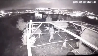 Osmaniye&rsquo;de hobi bah&ccedil;esine giren hırsızlar 25 g&uuml;vercini &ccedil;aldı
