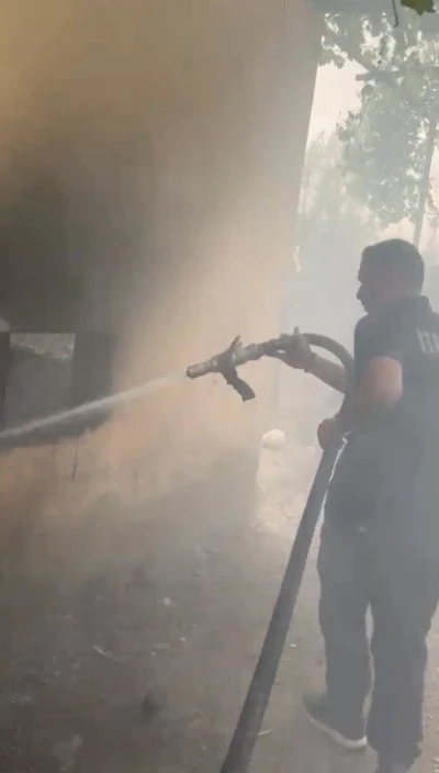 Osmaniye&rsquo;de kiler yangınında kedi ve yavruları kurtarıldı
