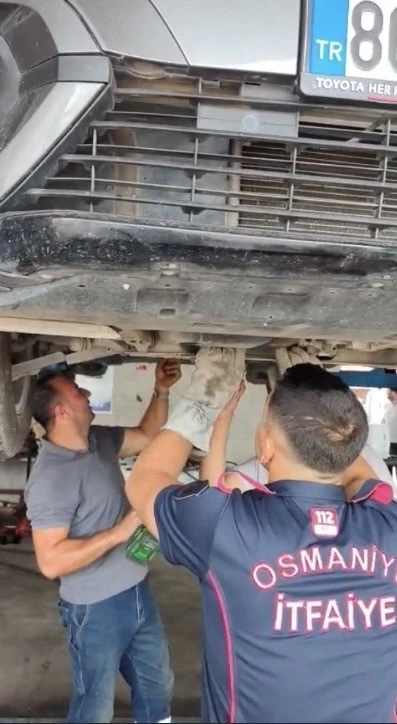 Osmaniye&rsquo;de otomobilin motoruna sıkışan yavru kedi kurtarıldı
