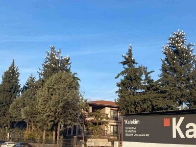 Osmaniye&rsquo;de sığır balık&ccedil;ıllarının kış konaklaması ilgi &ccedil;ekiyor
