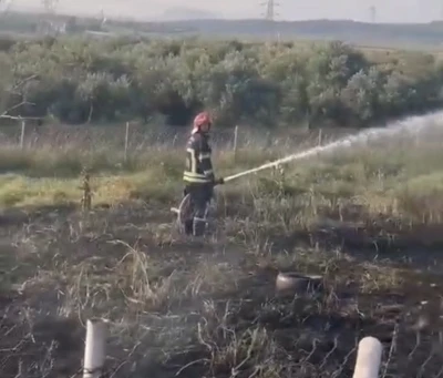 Osmaniye&rsquo;de tankerin lastiklerinden &ccedil;ıkan yangın zeytin bah&ccedil;esine sı&ccedil;radı
