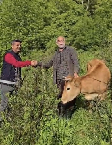 Osmaniye&rsquo;de u&ccedil;uruma d&uuml;şen d&uuml;ve 5 saatlik operasyonla kurtarıldı
