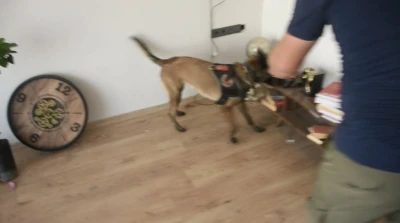 Osmaniye’de uyuşturucu operasyonu: 2 tutuklama
